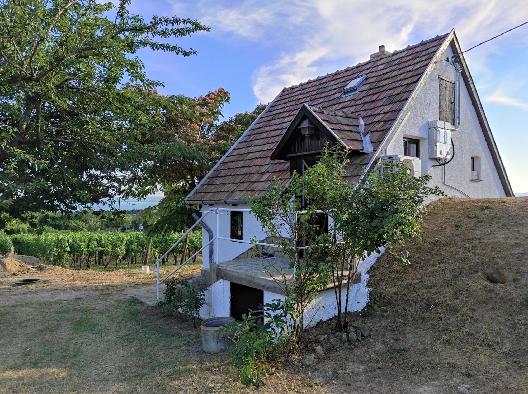 Kisház a szőlőhegyen Balatonakali Exterior foto
