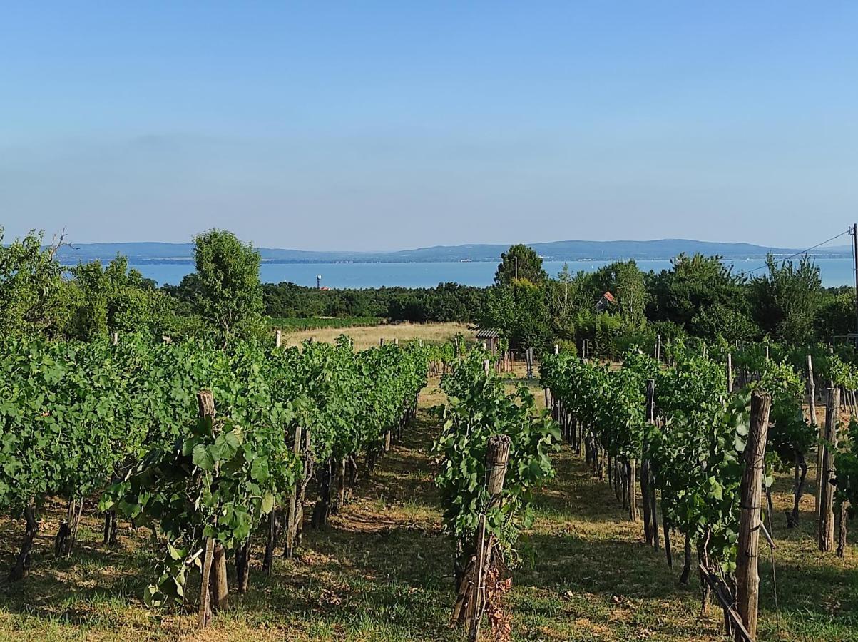 Kisház a szőlőhegyen Balatonakali Exterior foto